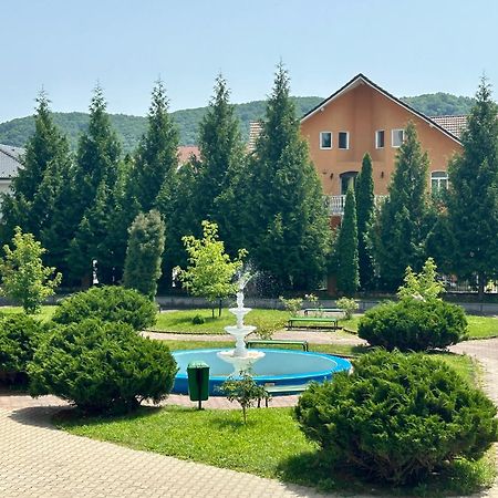 Hotel Diana Bistriţa エクステリア 写真